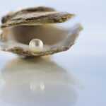 close up of pearl in oyster shell 82136435 59cab4cbaf5d3a0011308d9e