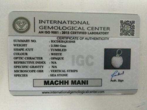 machmani certificate 1