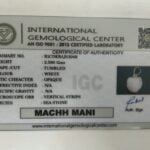 machmani certificate